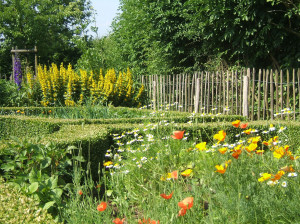 05.12 Garten