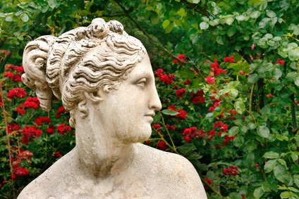 Im Garten der Venus: Frauenkräuter