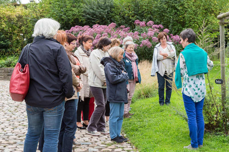 viriditas-heilpflanzenwissen-eupen-ostbelgien-michaela-schumacher-fank-mein-kursangebot